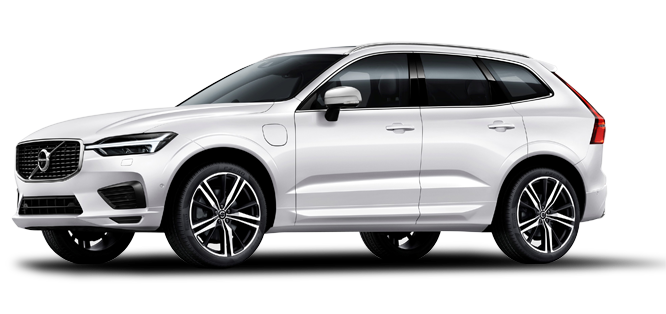 Looking for the perfect car?